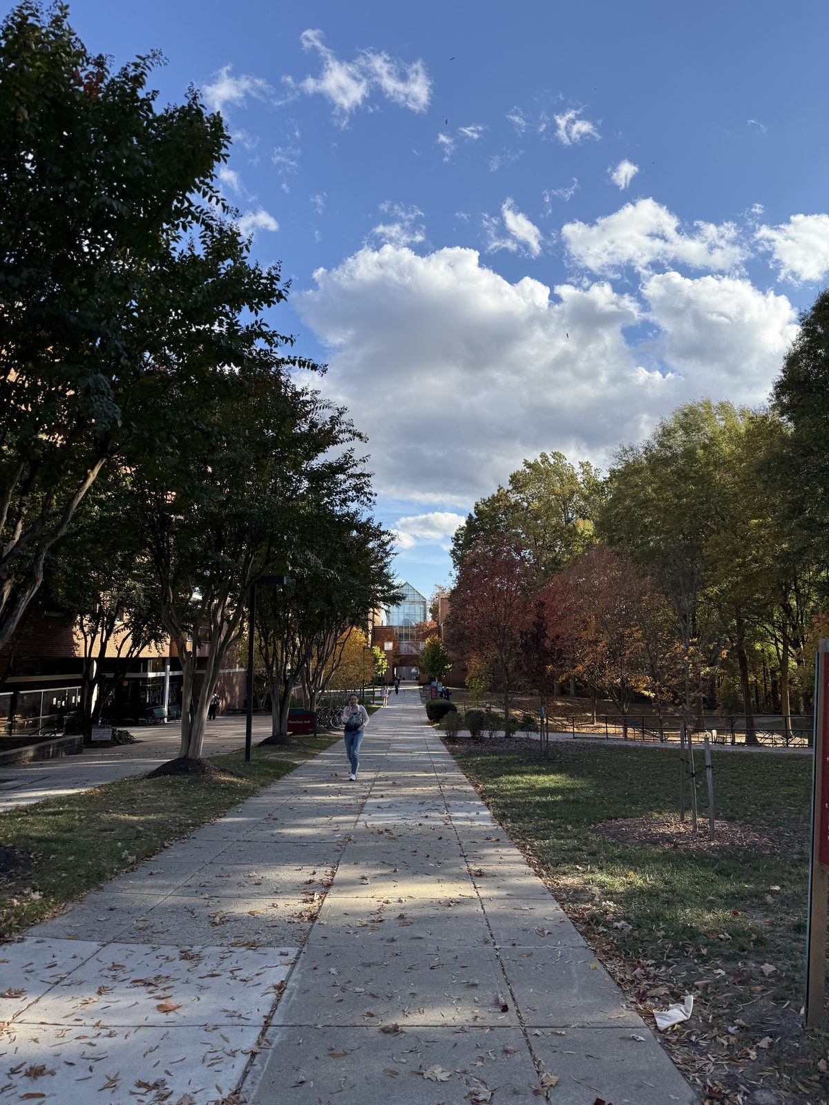 Personal photo
