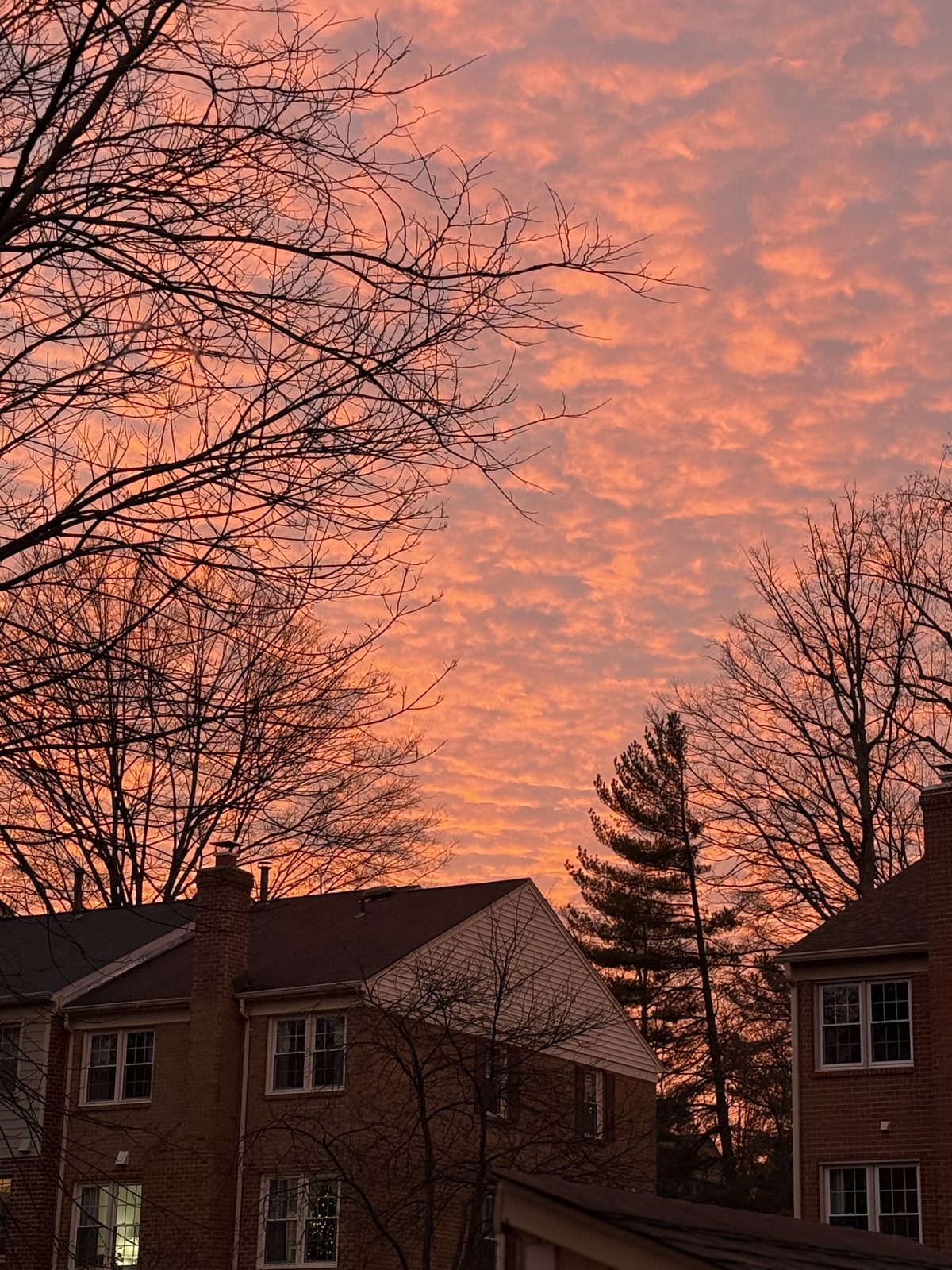 Personal photo