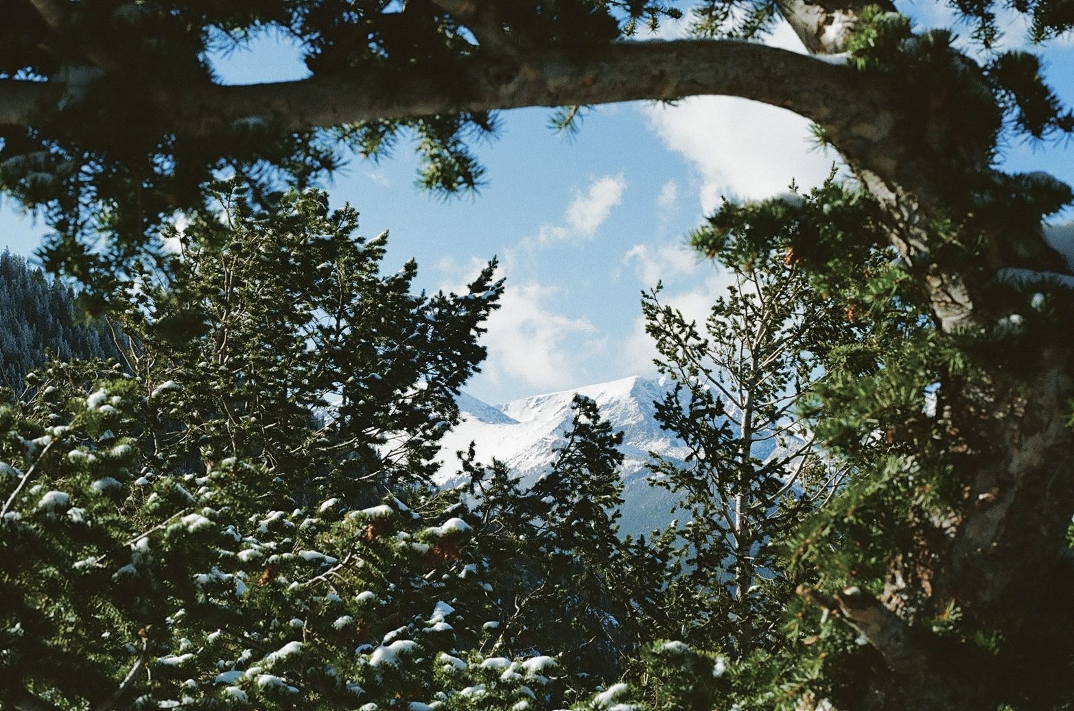 Personal photo